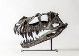 Ceratosaurus nasicornis – Juvenile Skull Replica