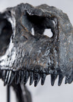 Allosaurus fragilis "UUVP 6000" - Skull Replica
