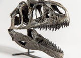 Allosaurus "jimmadseni" - Juvenile Skull Replica
