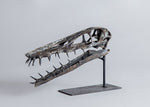 Harpactognathus gentryii - Pterosaur Skull Replica