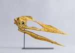 Phosphatodraco mauritanicus – Juvenile Pterosaur Skull Replica