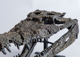 Goniopholis sp. - Crocodyliform Skull Replica