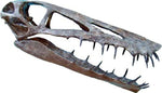Harpactognathus gentryii - Pterosaur Skull Replica